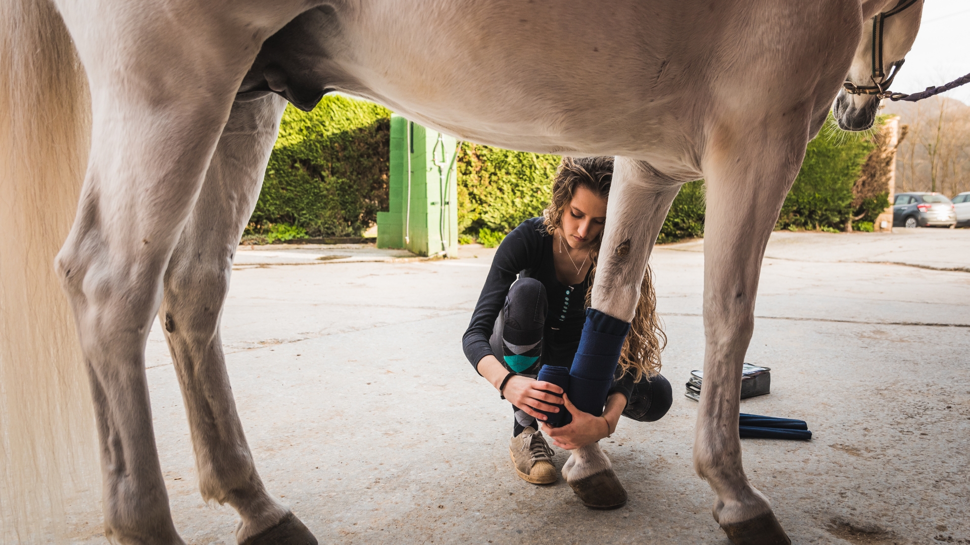 A person fitting a protective boot on a horse's hoof.