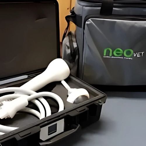 Horse leg X-ray equipments